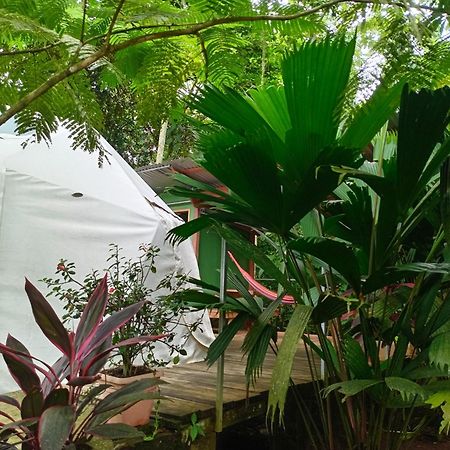 Appartement Glamping Naioth à Guápiles Extérieur photo