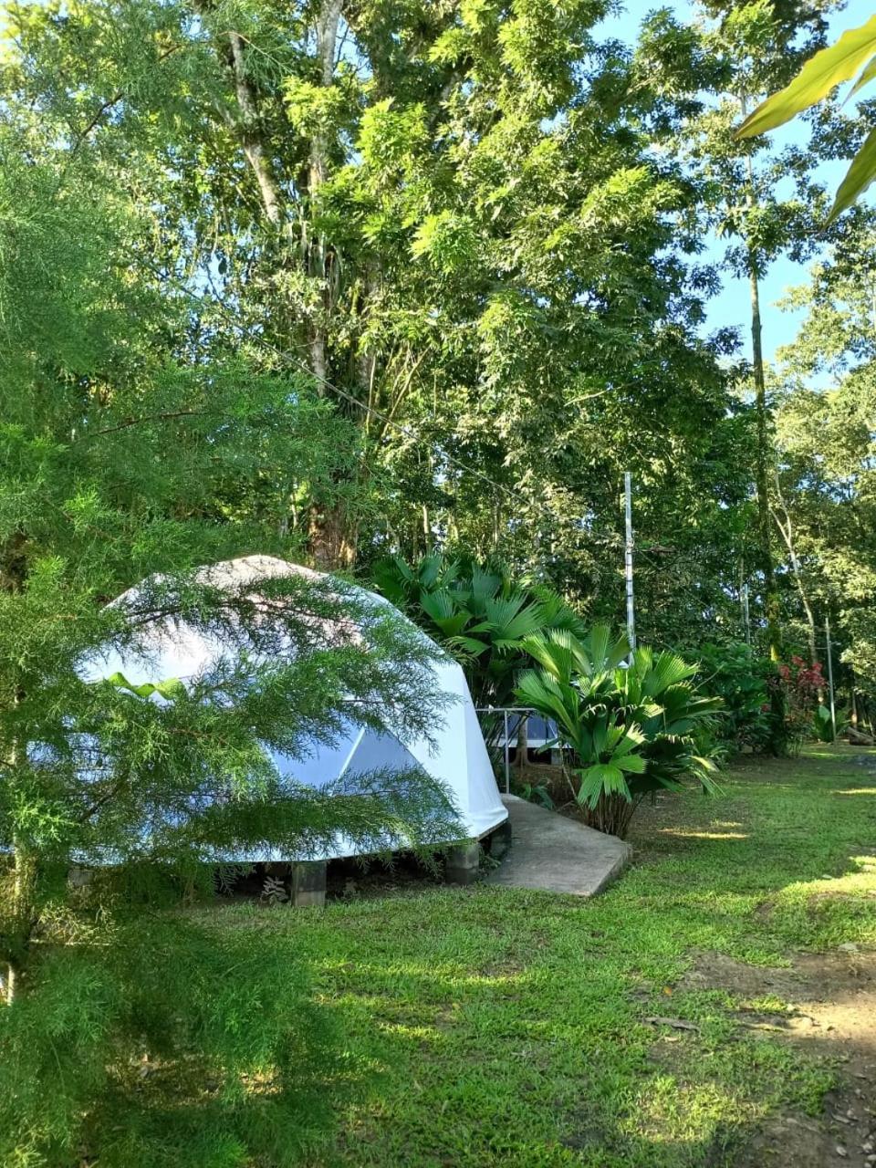 Appartement Glamping Naioth à Guápiles Extérieur photo
