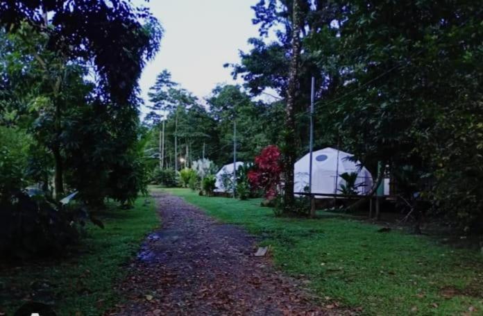 Appartement Glamping Naioth à Guápiles Extérieur photo