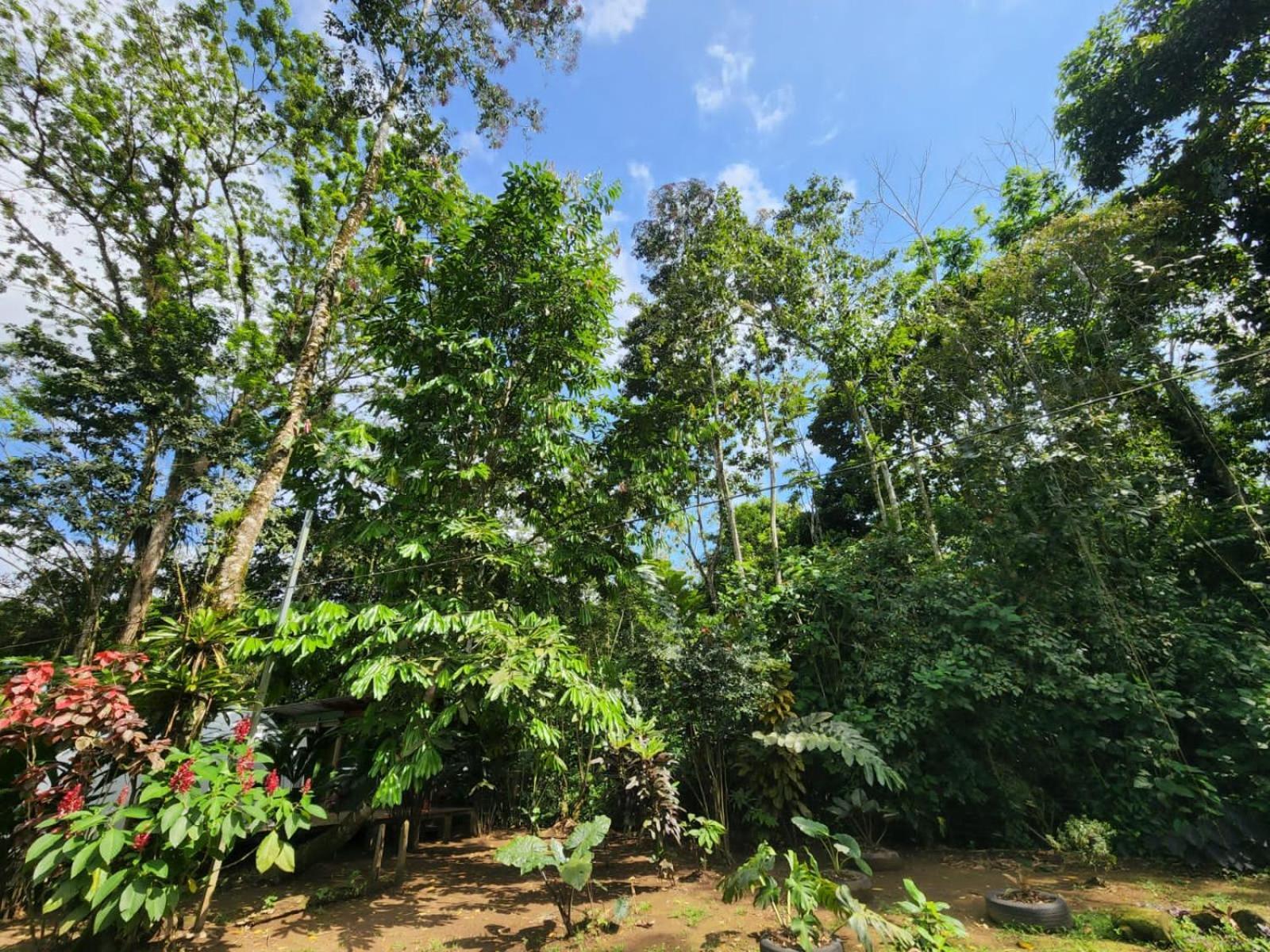 Appartement Glamping Naioth à Guápiles Extérieur photo