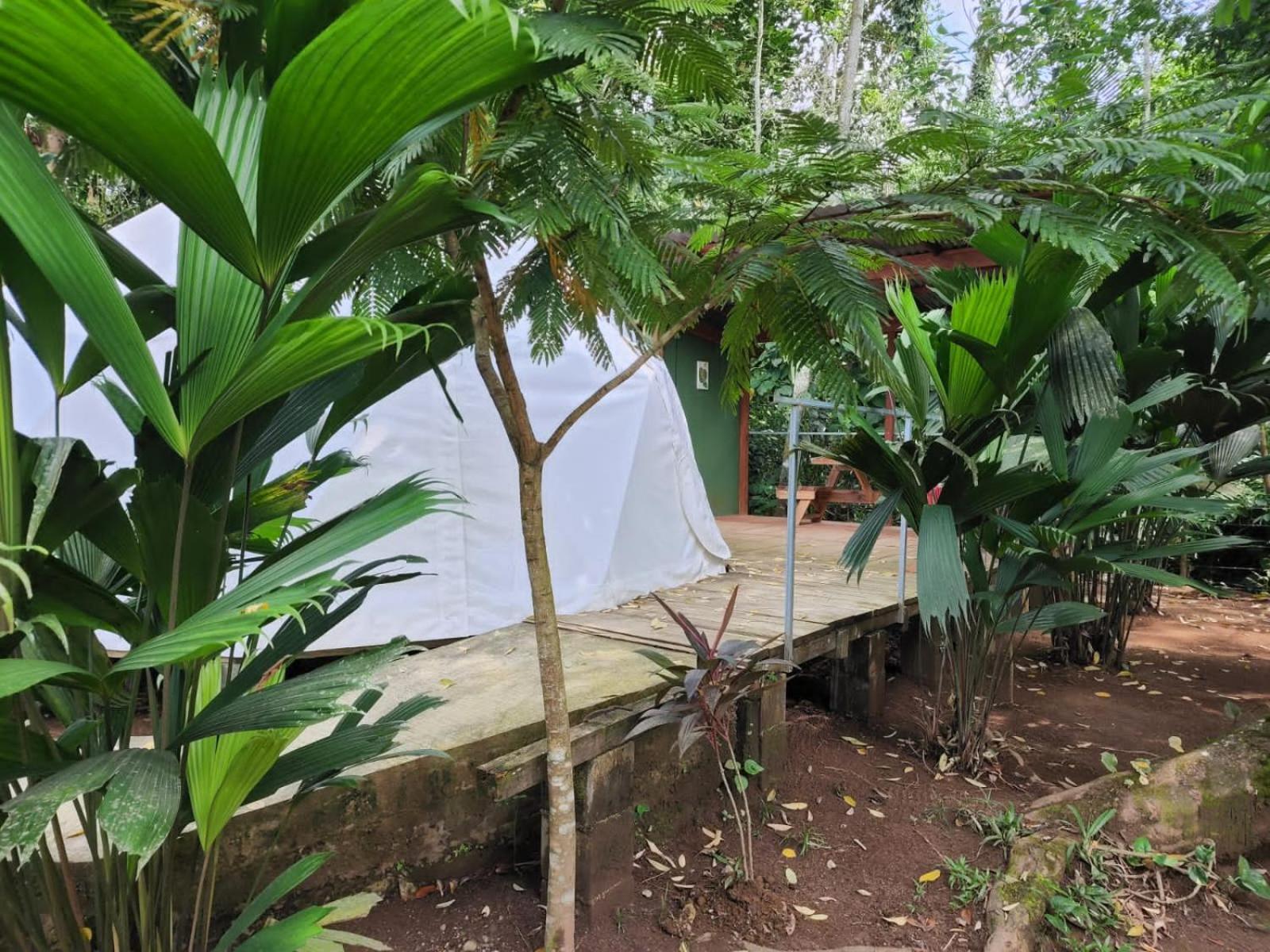 Appartement Glamping Naioth à Guápiles Extérieur photo