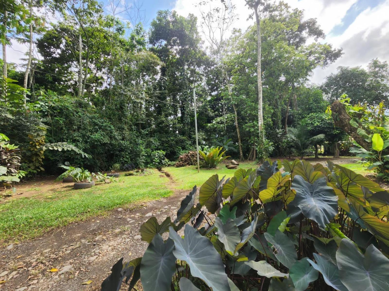 Appartement Glamping Naioth à Guápiles Extérieur photo