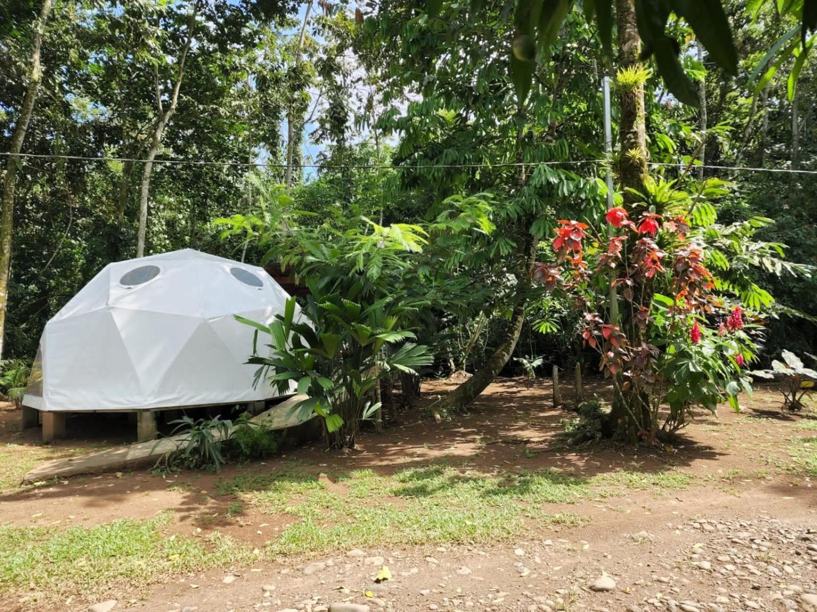 Appartement Glamping Naioth à Guápiles Extérieur photo