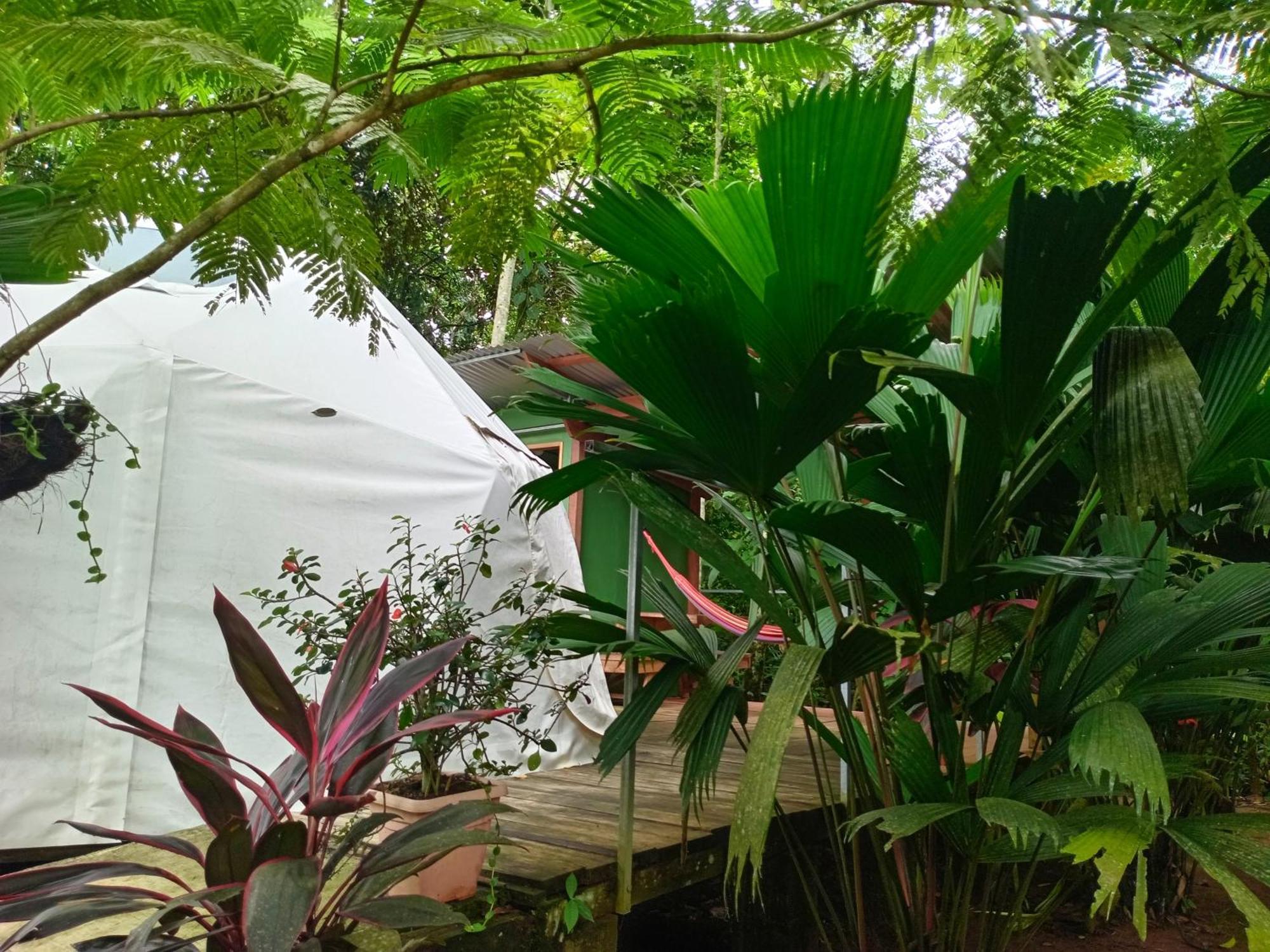 Appartement Glamping Naioth à Guápiles Extérieur photo