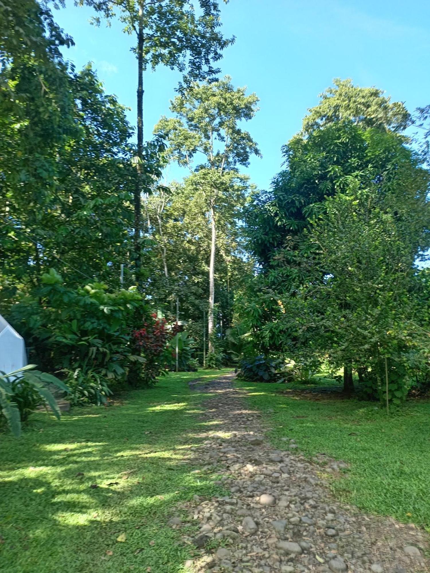 Appartement Glamping Naioth à Guápiles Chambre photo