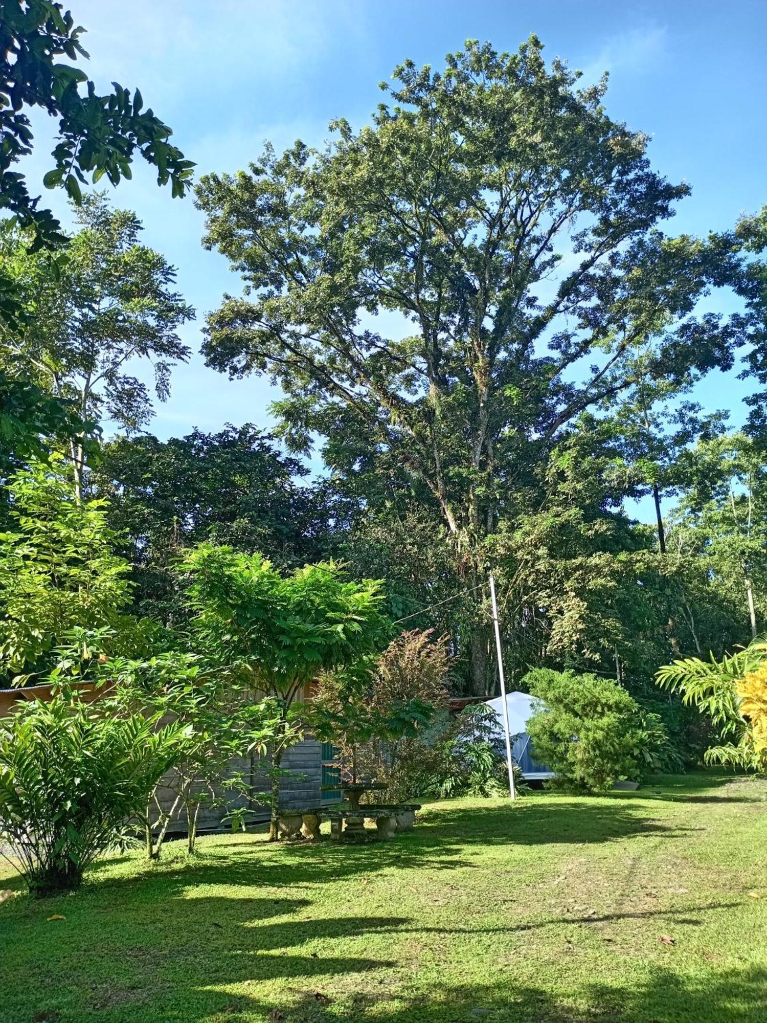 Appartement Glamping Naioth à Guápiles Extérieur photo