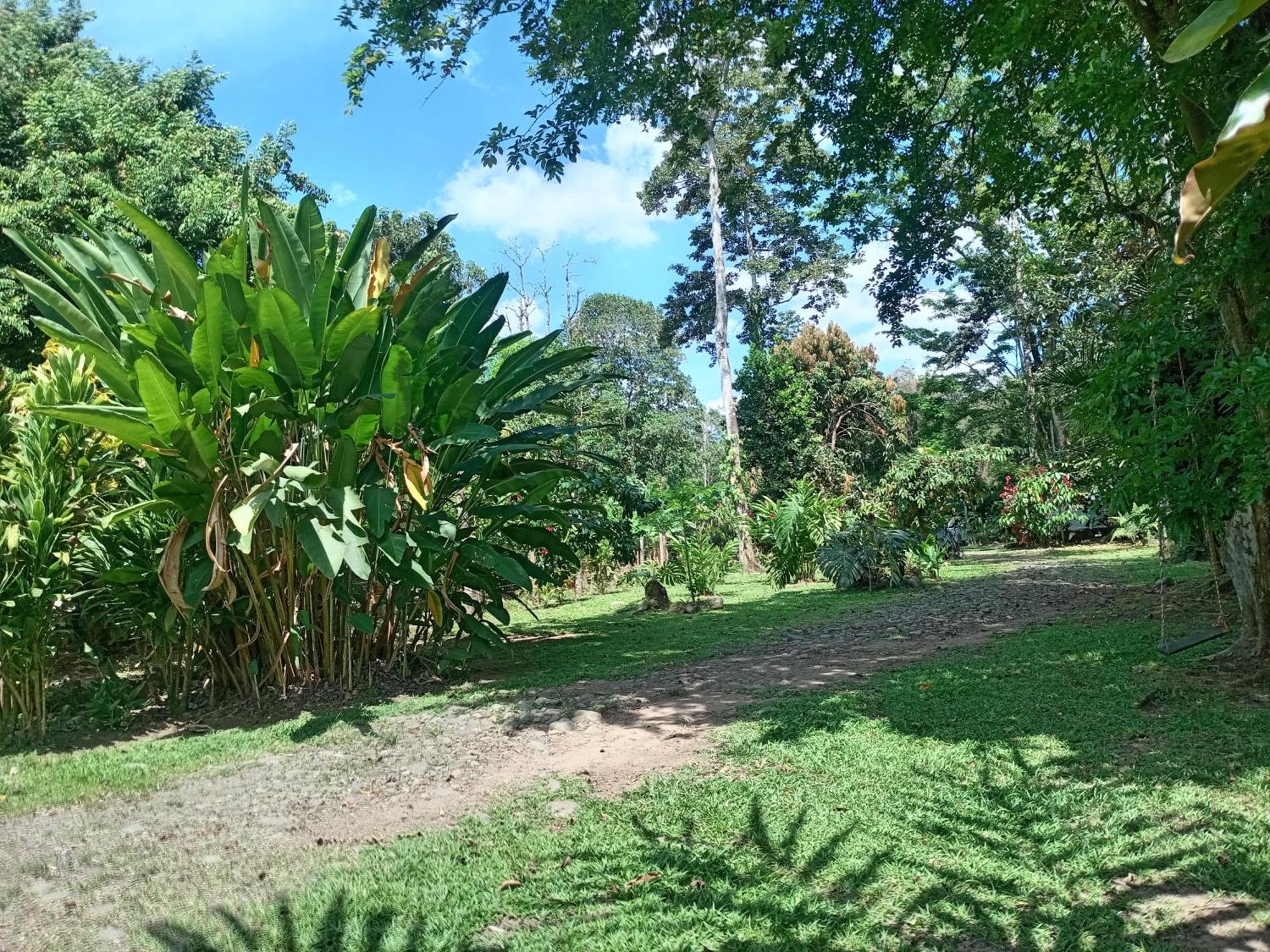 Appartement Glamping Naioth à Guápiles Extérieur photo