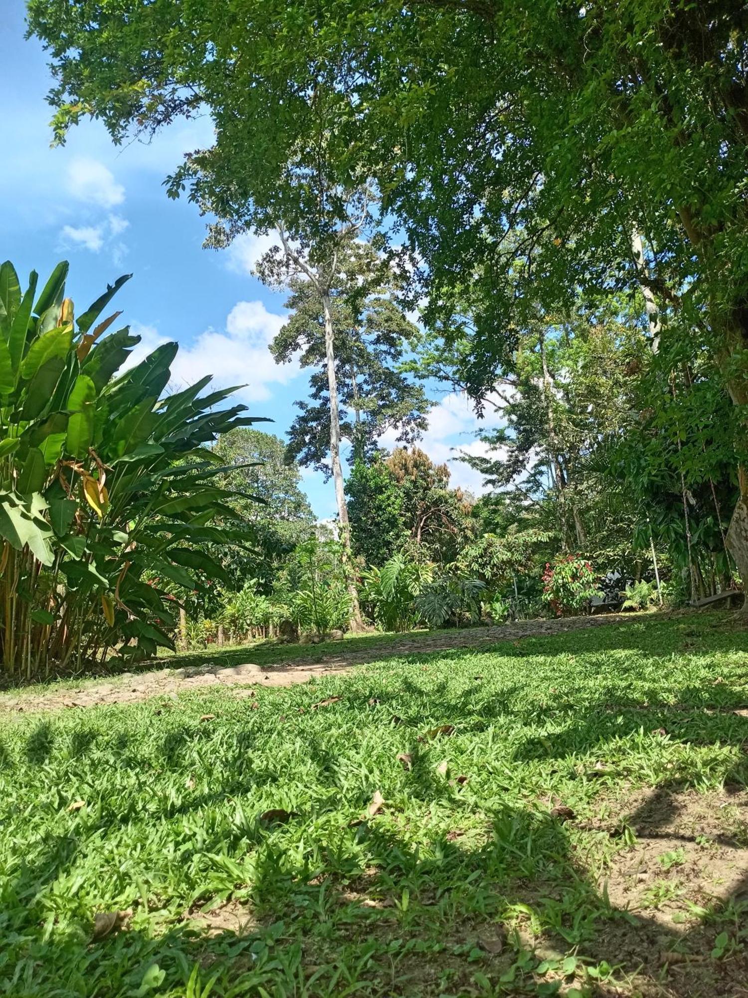 Appartement Glamping Naioth à Guápiles Chambre photo