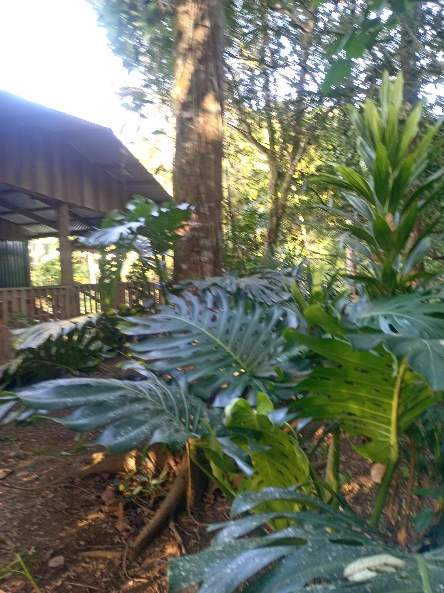 Appartement Glamping Naioth à Guápiles Extérieur photo